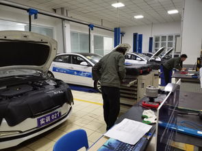 汽車工程系積極參與汽車領域1+X證書試考評會，助力學生技術開發能力提升